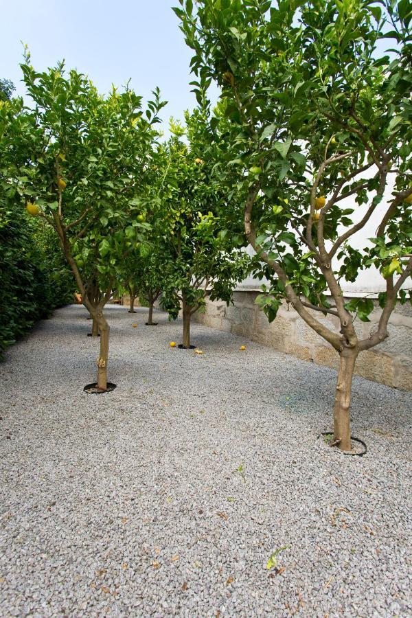 Boutique Rentals- Hidden Garden Porto'S Downtown Eksteriør billede